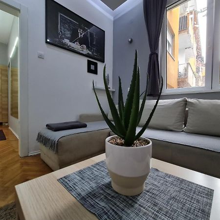 Nikola Tesla City Walk Apartman Ni Kültér fotó