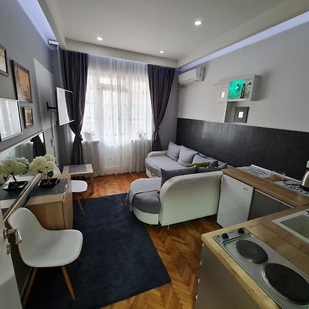 Nikola Tesla City Walk Apartman Ni Szoba fotó