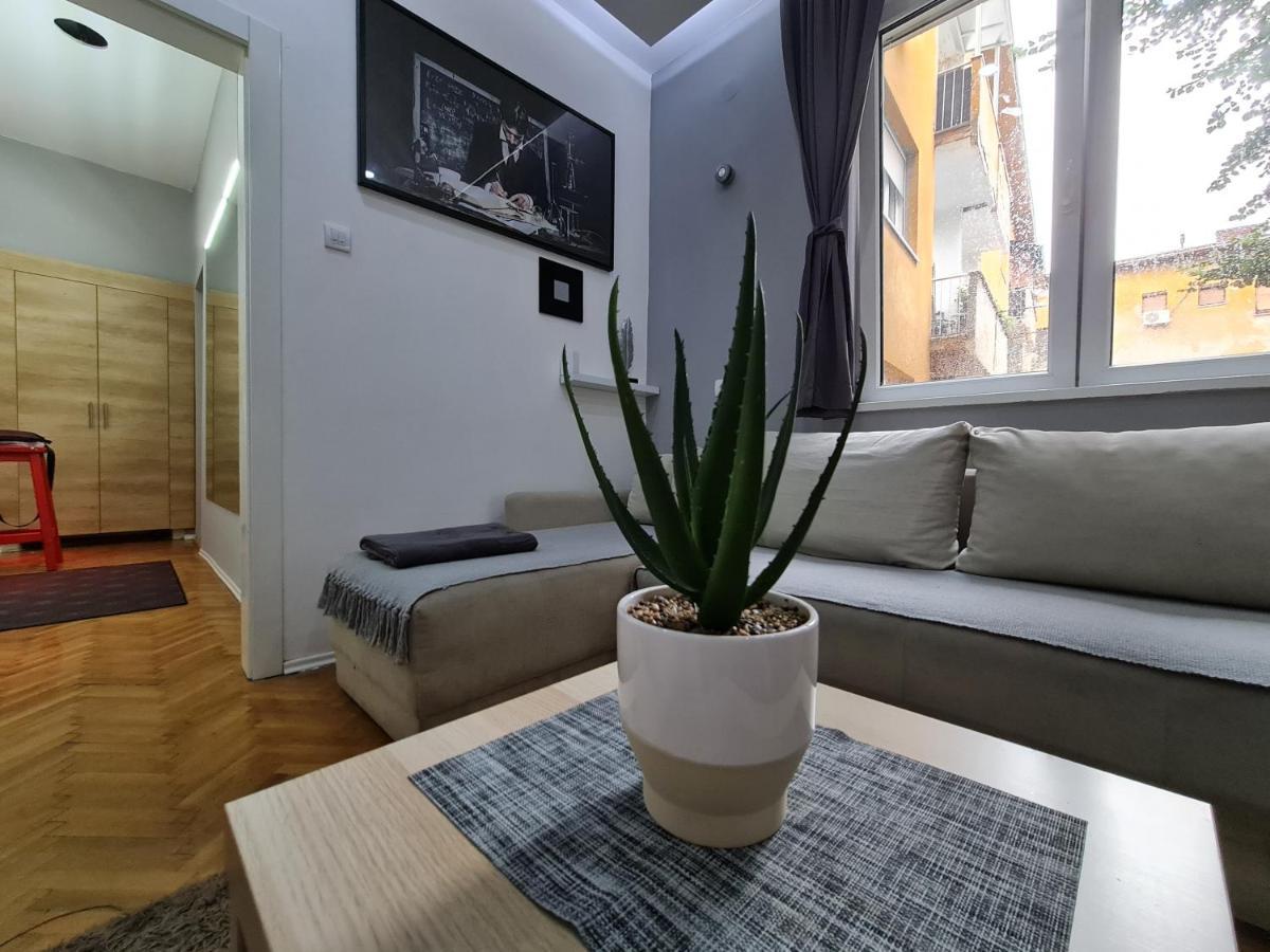 Nikola Tesla City Walk Apartman Ni Kültér fotó