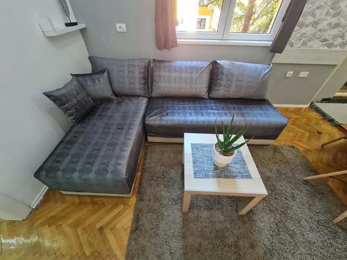 Nikola Tesla City Walk Apartman Ni Kültér fotó